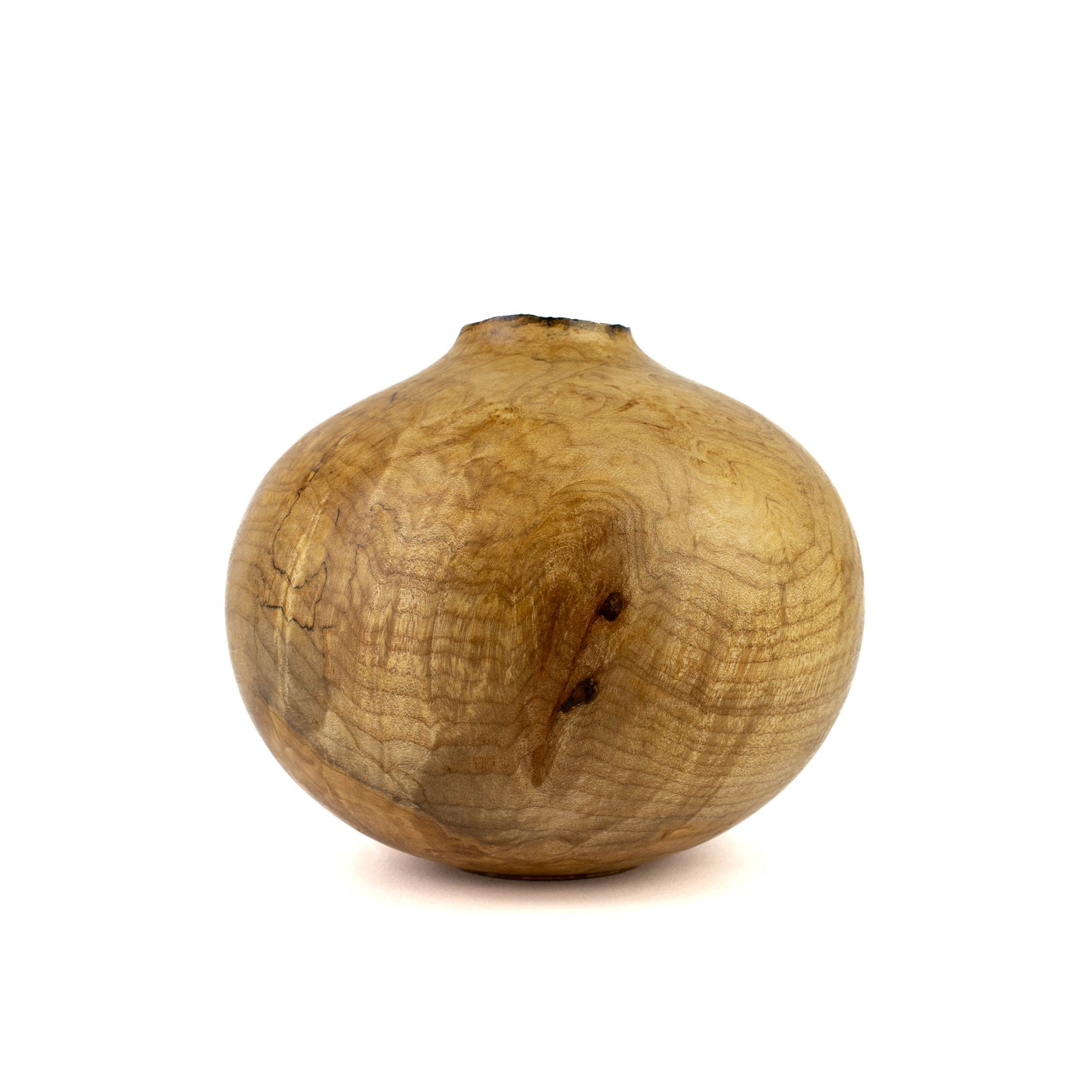 Hollow Form Silver Maple with Natural Edge