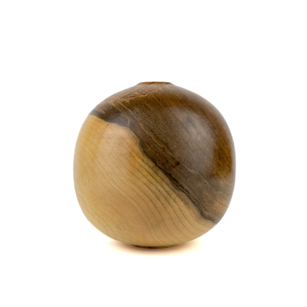 Hollow Form Silver Maple with Small Opening