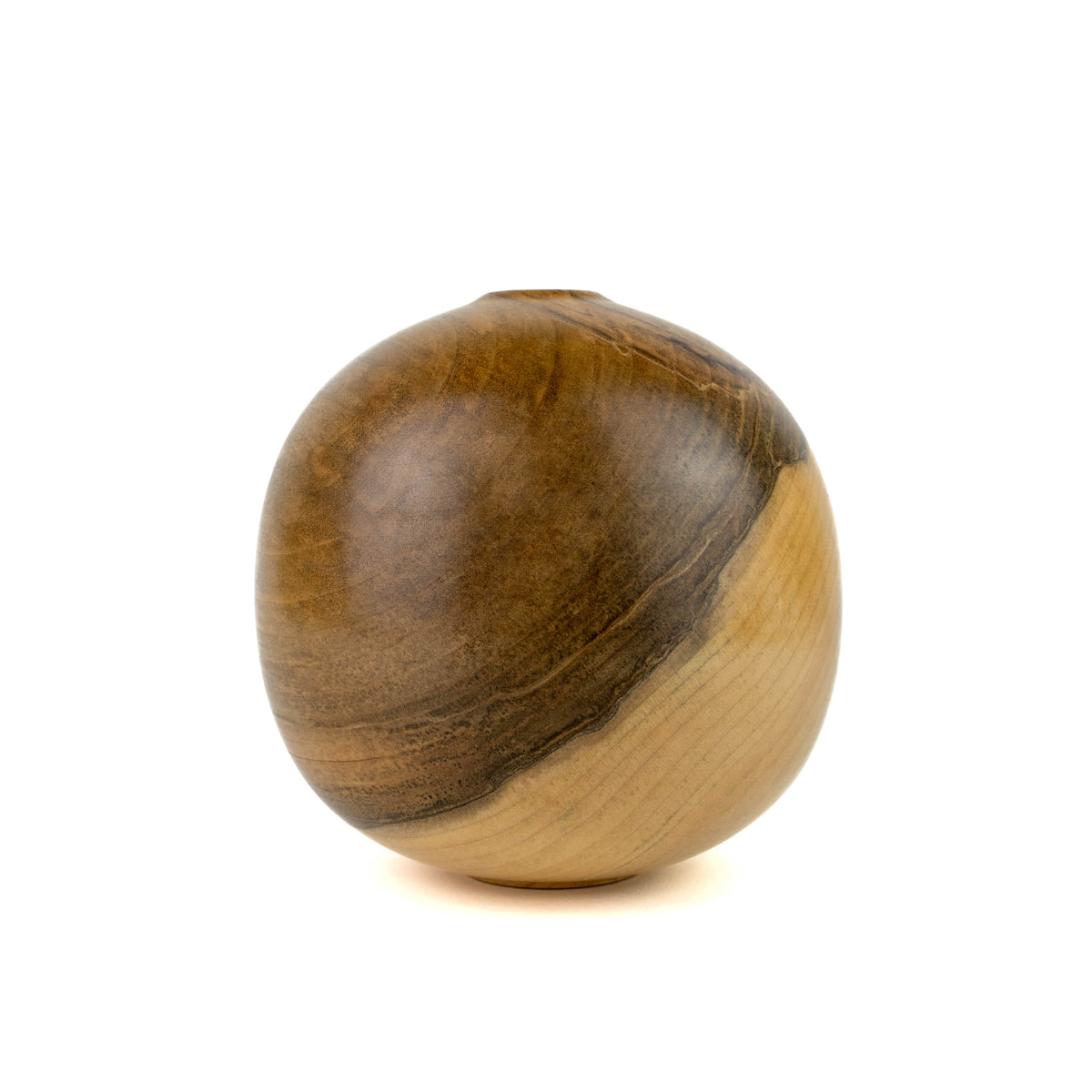 Hollow Form Silver Maple with Small Opening