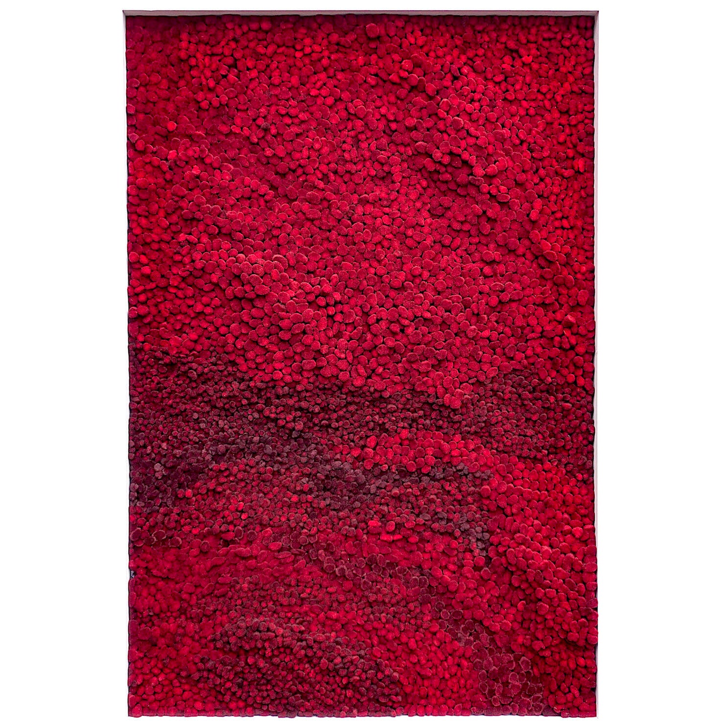 Textured red artwork with a horizontal gradient.