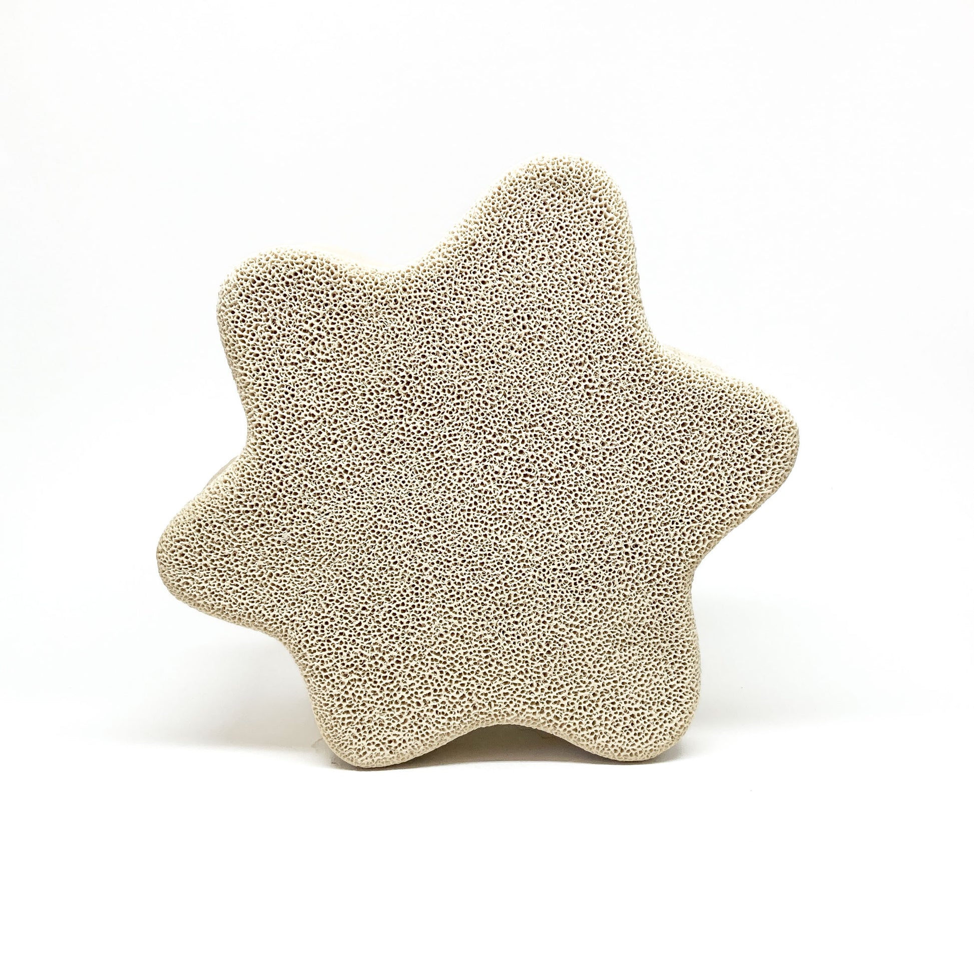 A star-shaped Triceatium Sculpture with a porous, textured surface.