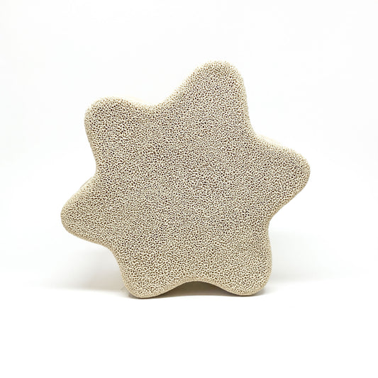A star-shaped Triceatium Sculpture with a porous, textured surface.