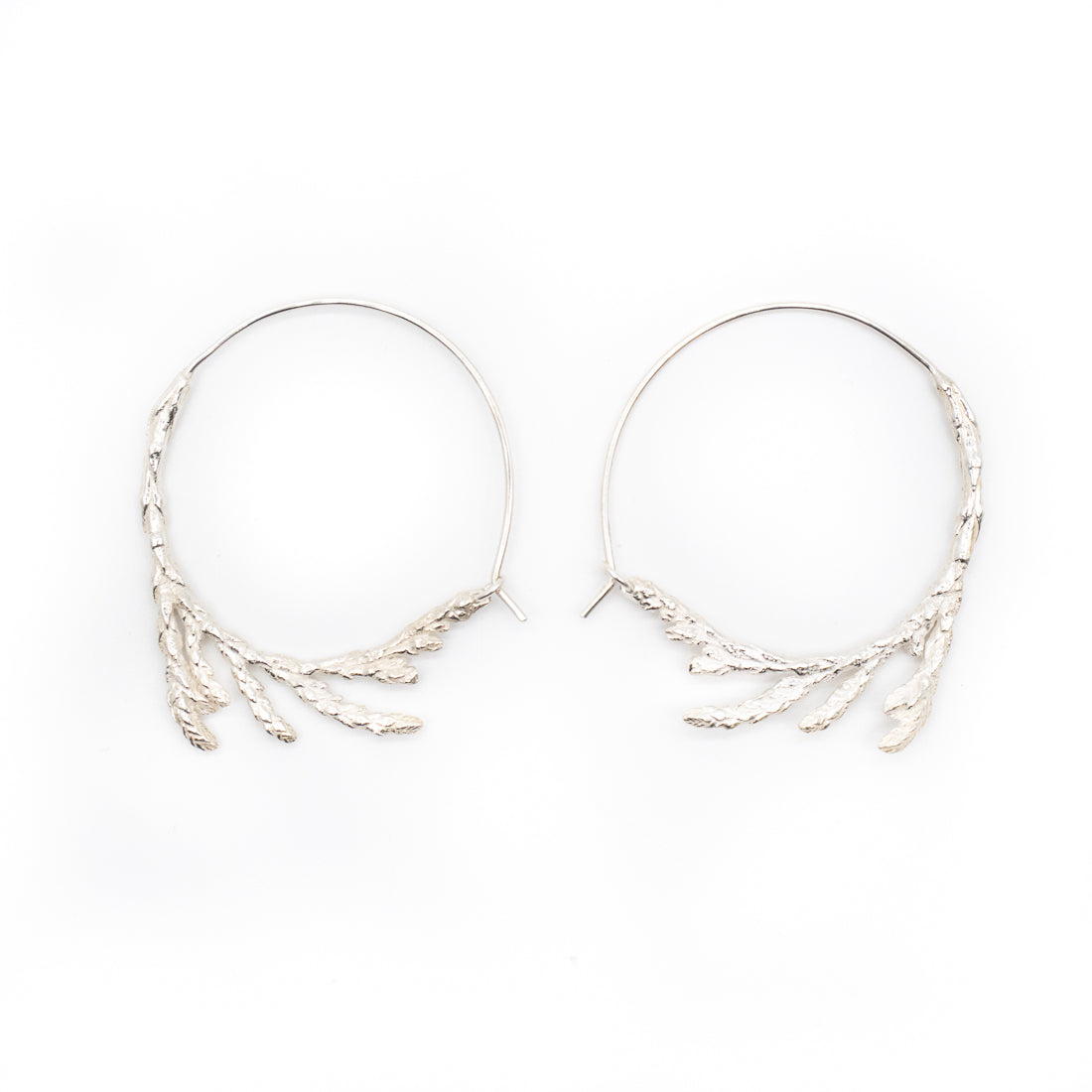 Sacred Cedar Hoops in Silver