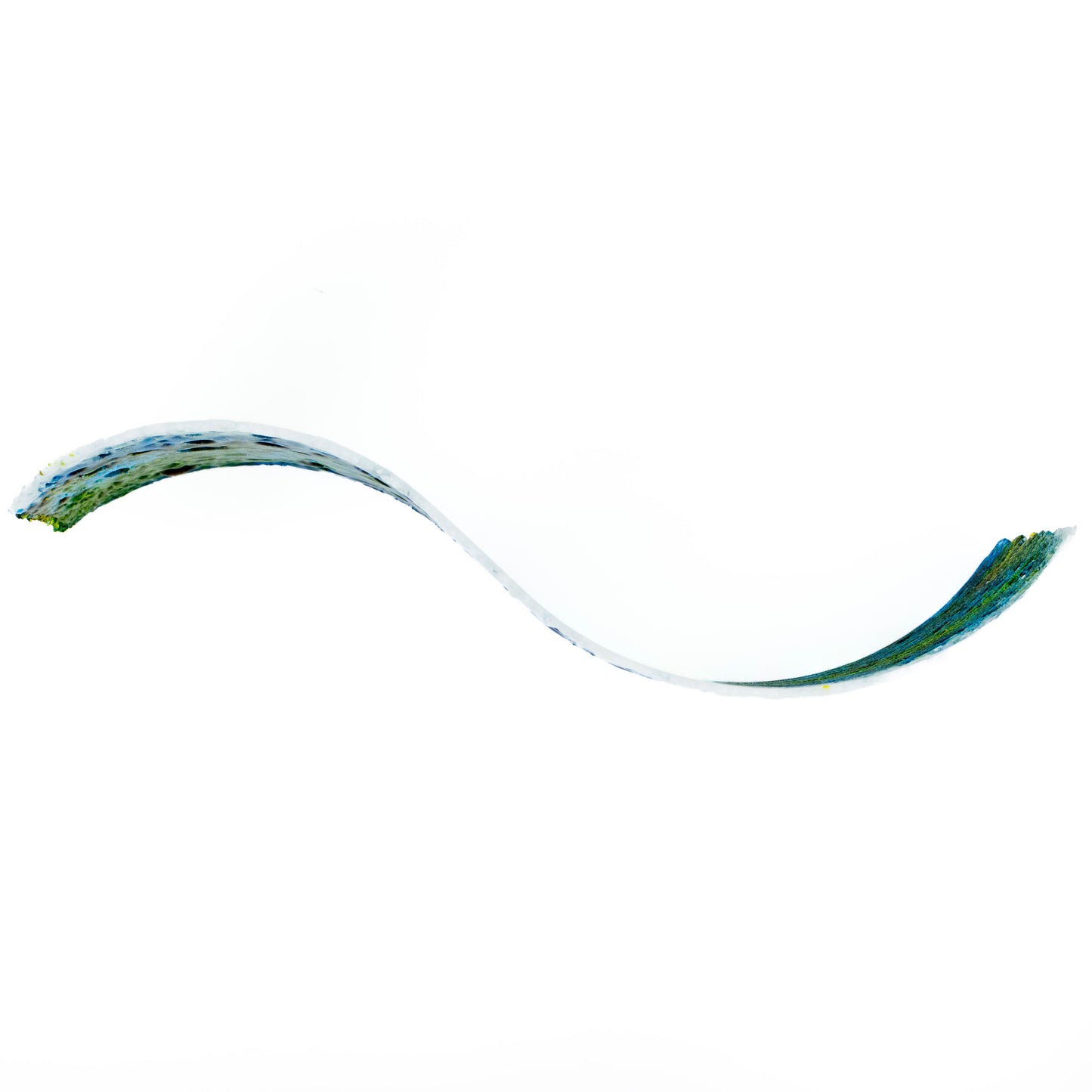 "Immanent" Fused Glass Wave