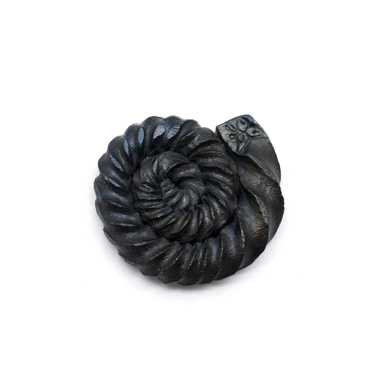 Ammonites