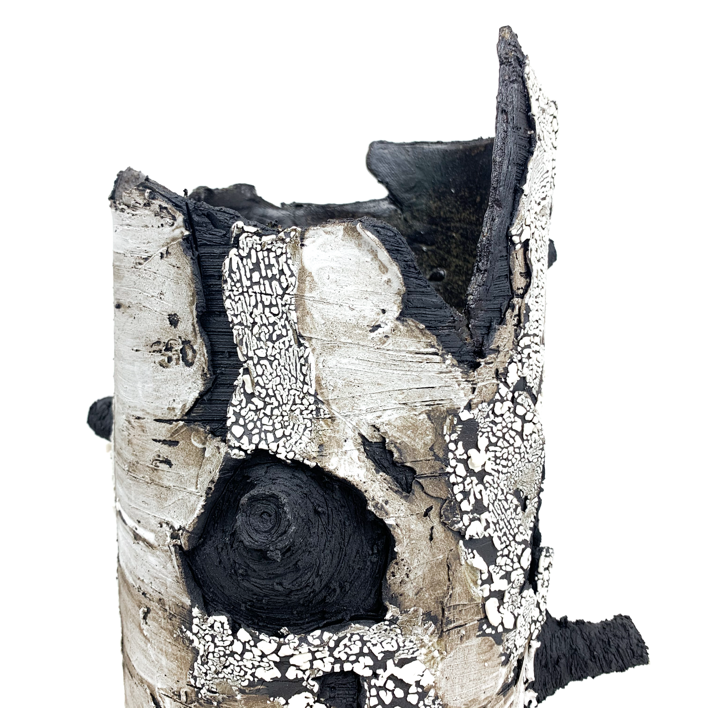 A birch bark textured vase with protruding black branches and a unique, organic shape, showcasing intricate details.