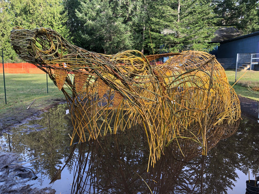 amy robertson's journey | ccbc's featured region program