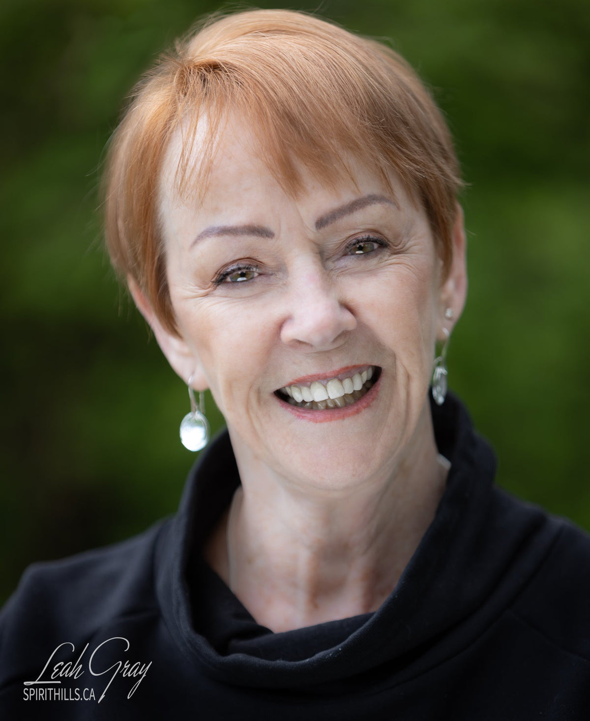 laurie a. mcdonald