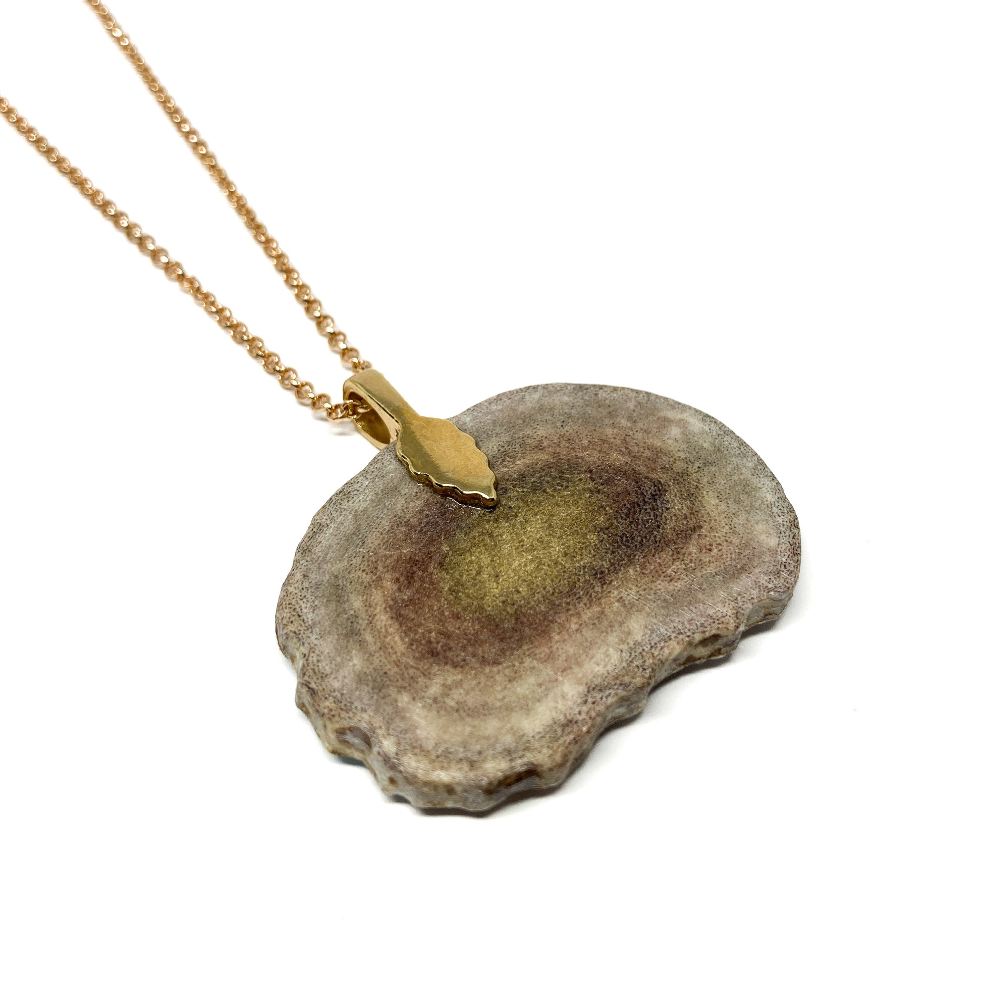 A necklace with a pendant made from a slice of antler, featuring a gold cap and chain.