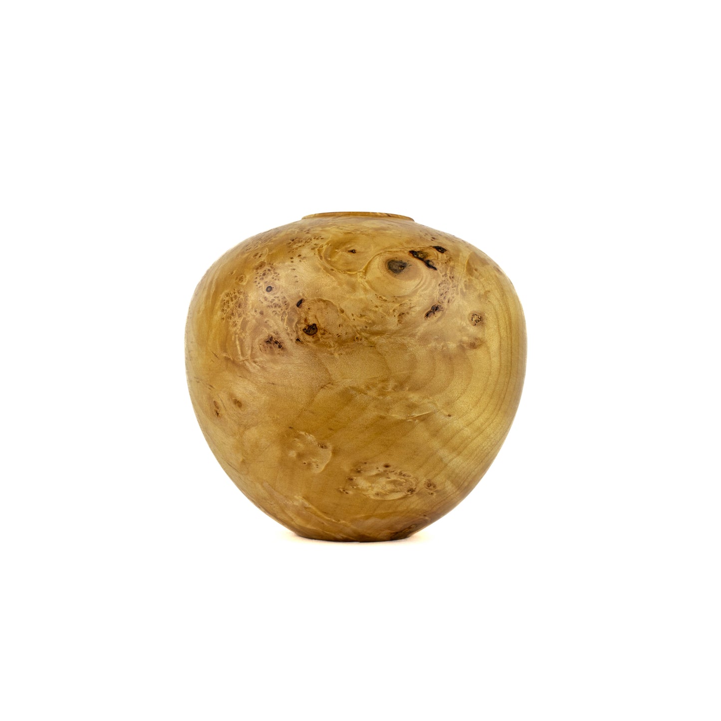 Hollow Form Maple Burl