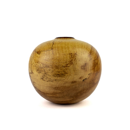 Hollow Form Spalted Maple with Red Alder Bark