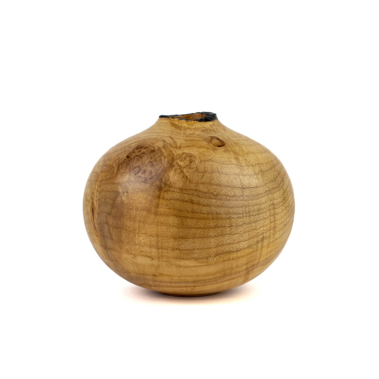 Hollow Form Silver Maple with Natural Edge