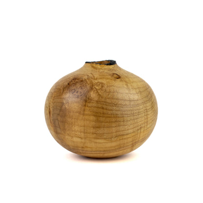 Hollow Form Silver Maple with Natural Edge