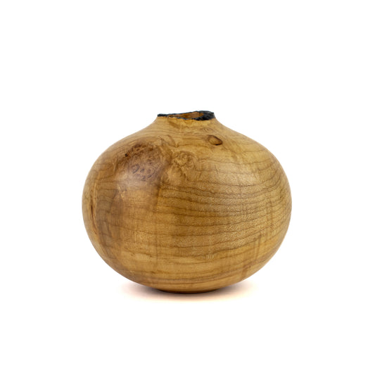 Hollow Form Silver Maple with Natural Edge