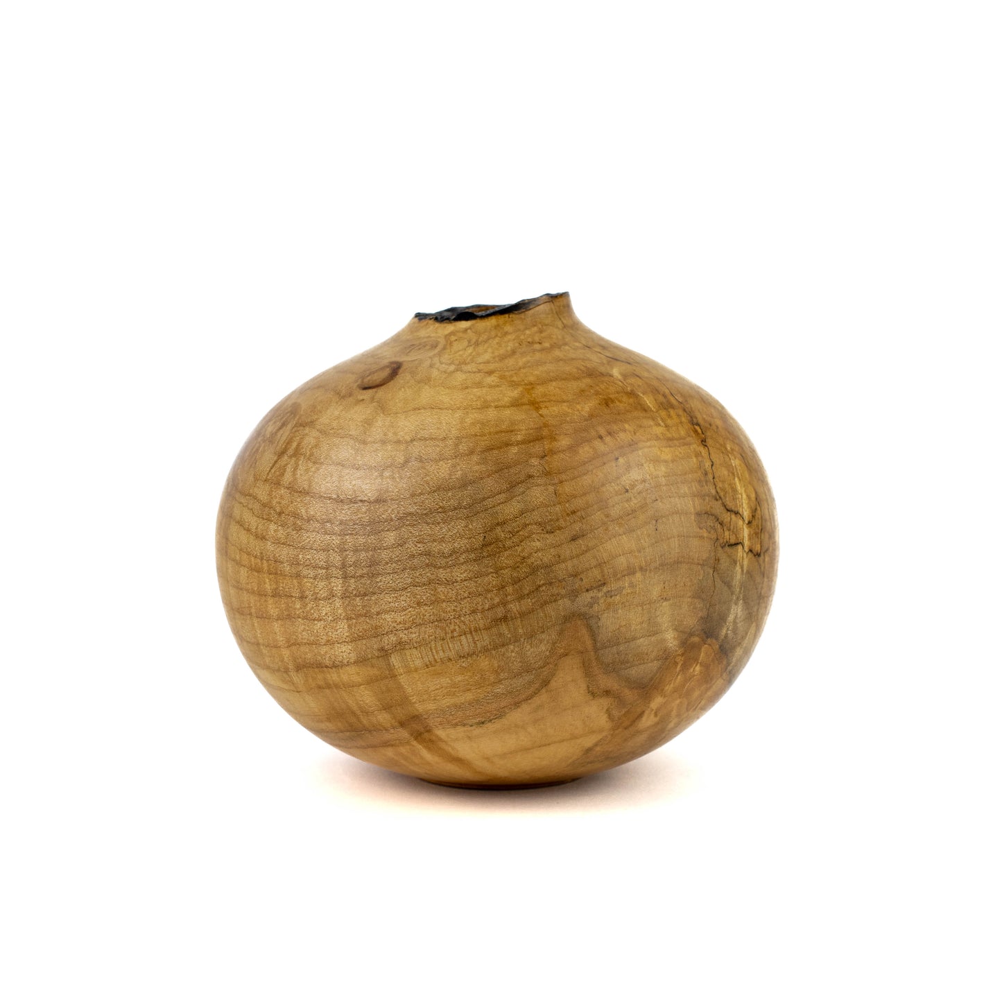 Hollow Form Silver Maple with Natural Edge