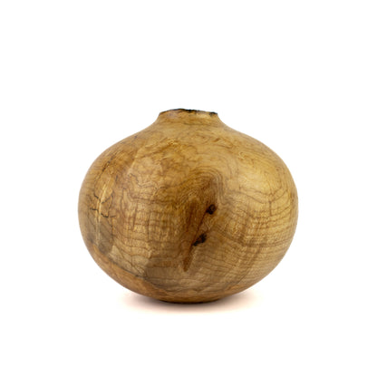 Hollow Form Silver Maple with Natural Edge