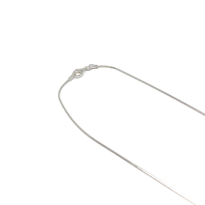 A close-up of a silver necklace clasp and chain. The delicate chain is thin and reflective.