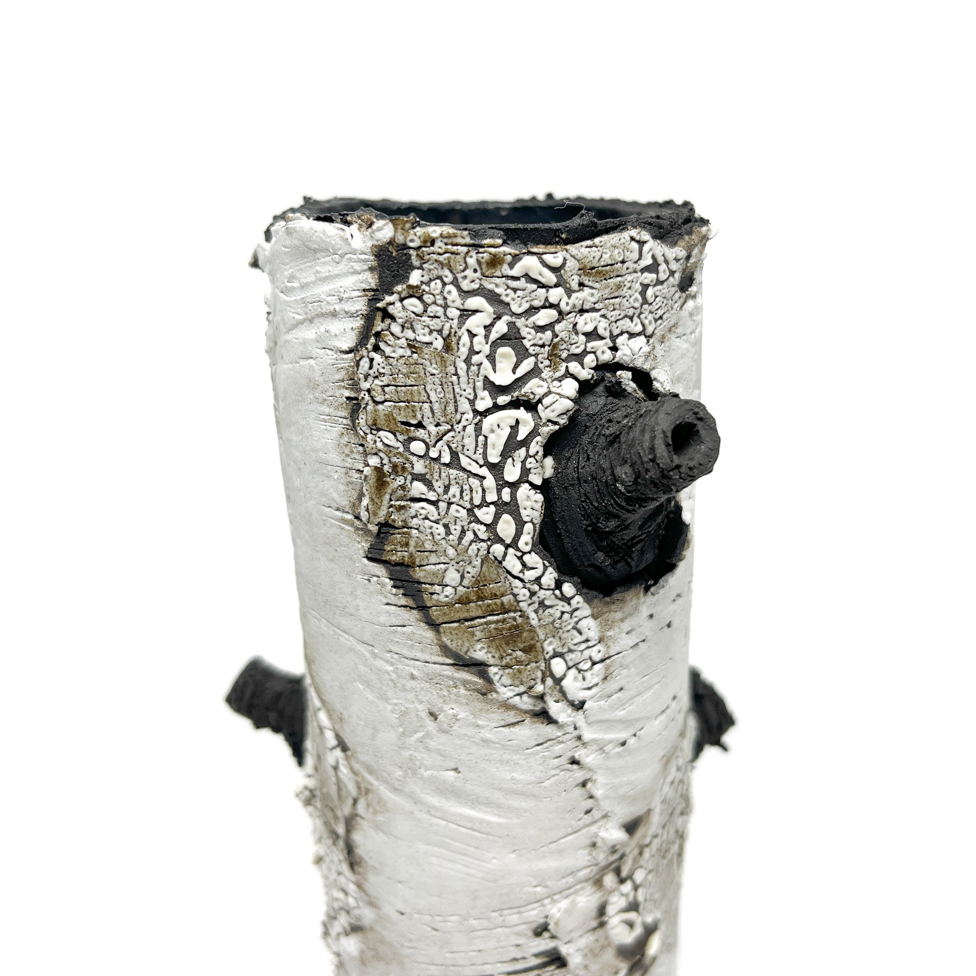 A close-up view of a cylindrical vase resembling birch bark with a textured surface, featuring black and white elements and a protruding detail.