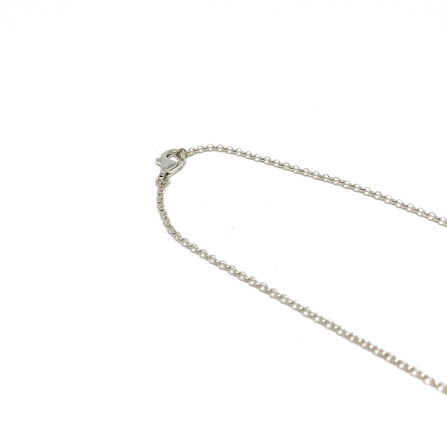 A close-up of a delicate silver chain necklace with a lobster claw clasp.