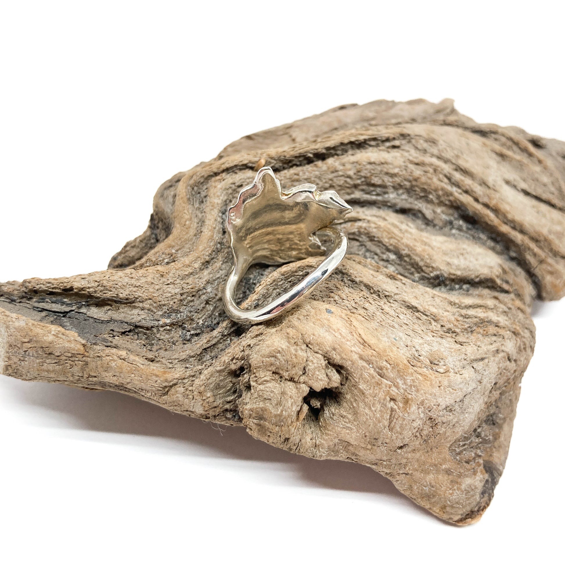 A shiny silver ring with a detailed maple leaf design sits on a piece of weathered driftwood.