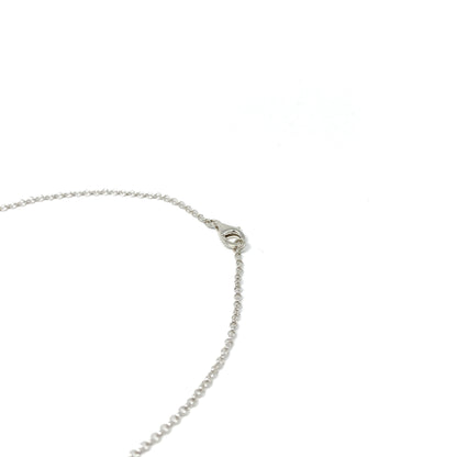 A close-up of the silver lobster clasp and delicate chain of a necklace.