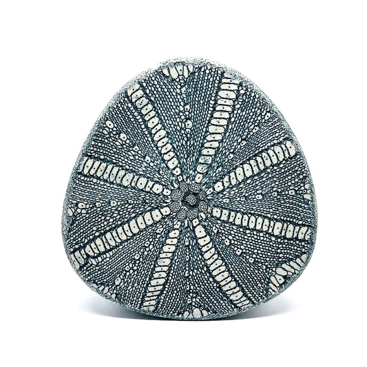 A Green Oxide Triangle Diatom Sculpture with a detailed, textured surface.