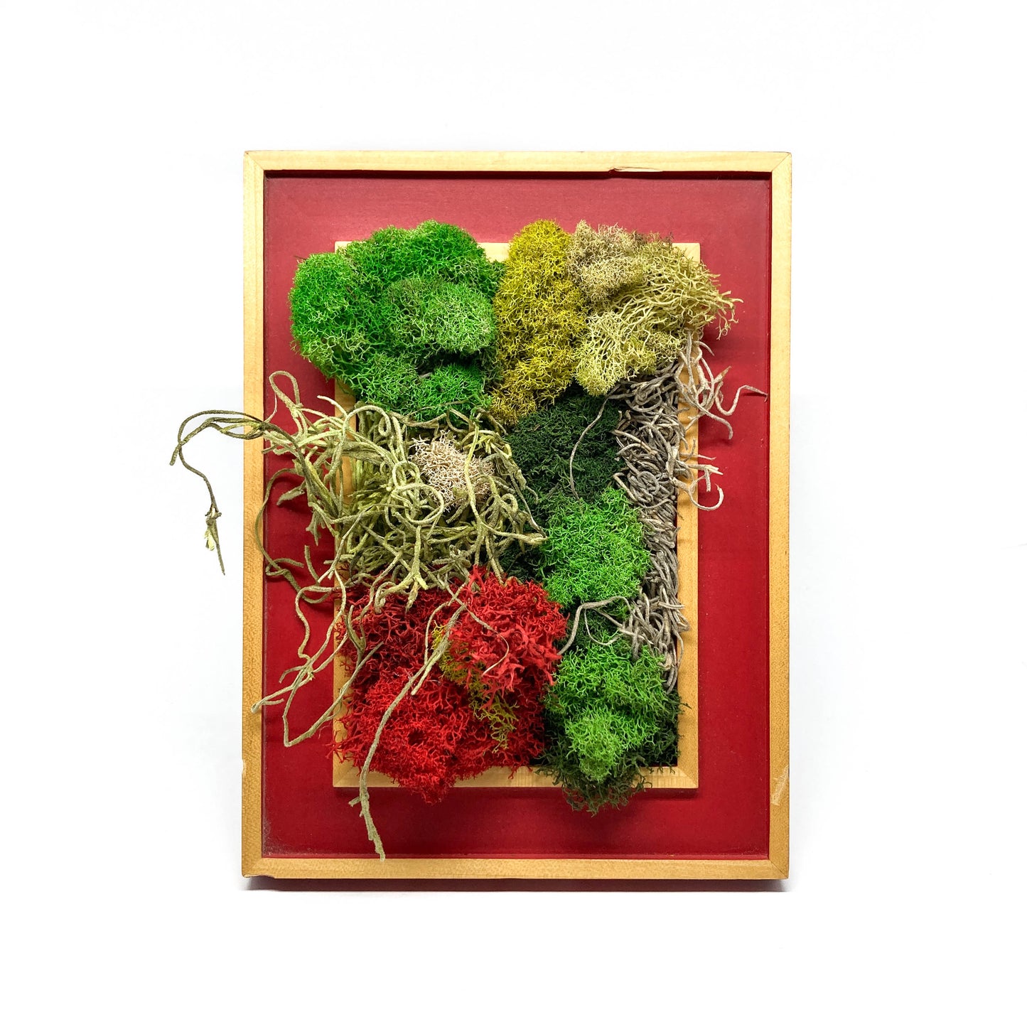 Framed artwork with a collage of preserved moss in various colors and textures.