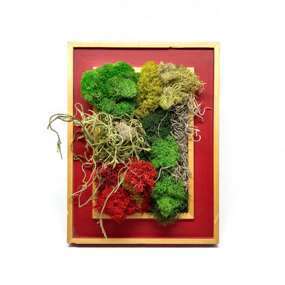 Framed artwork with a collage of preserved moss in various colors and textures.