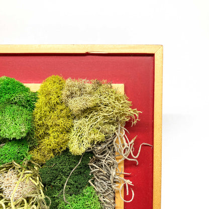 Close-up of framed artwork with preserved moss in various colors and textures.