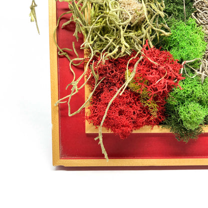 Close-up of framed artwork with preserved moss in various colors and textures.
