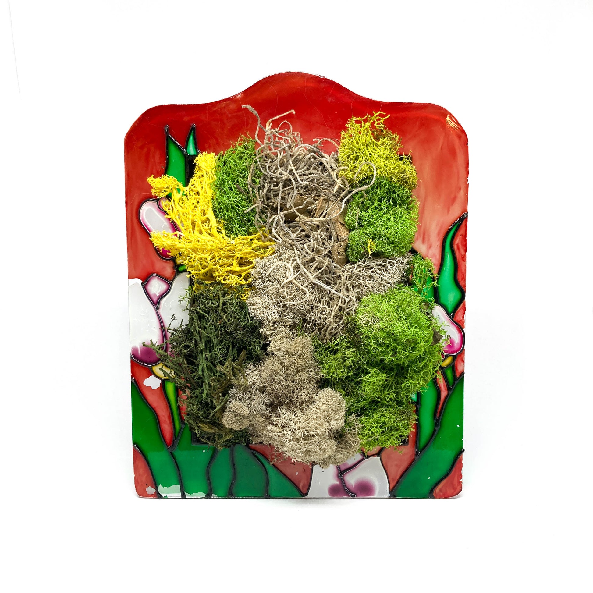 Framed artwork with a collage of preserved moss in various colors and textures, set against a red and green background with floral designs.
