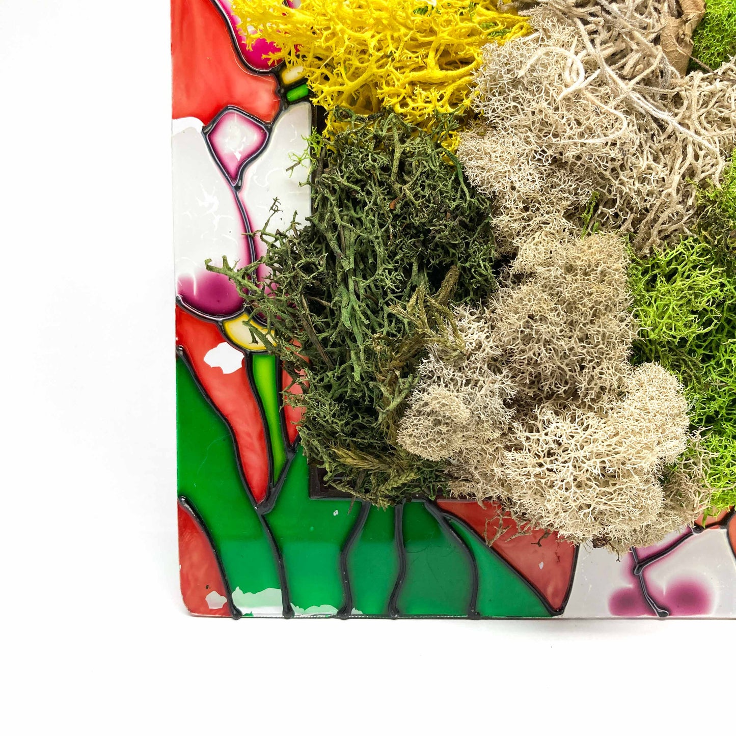Close-up of framed artwork with preserved moss in various colors and textures, set against a background with floral designs.