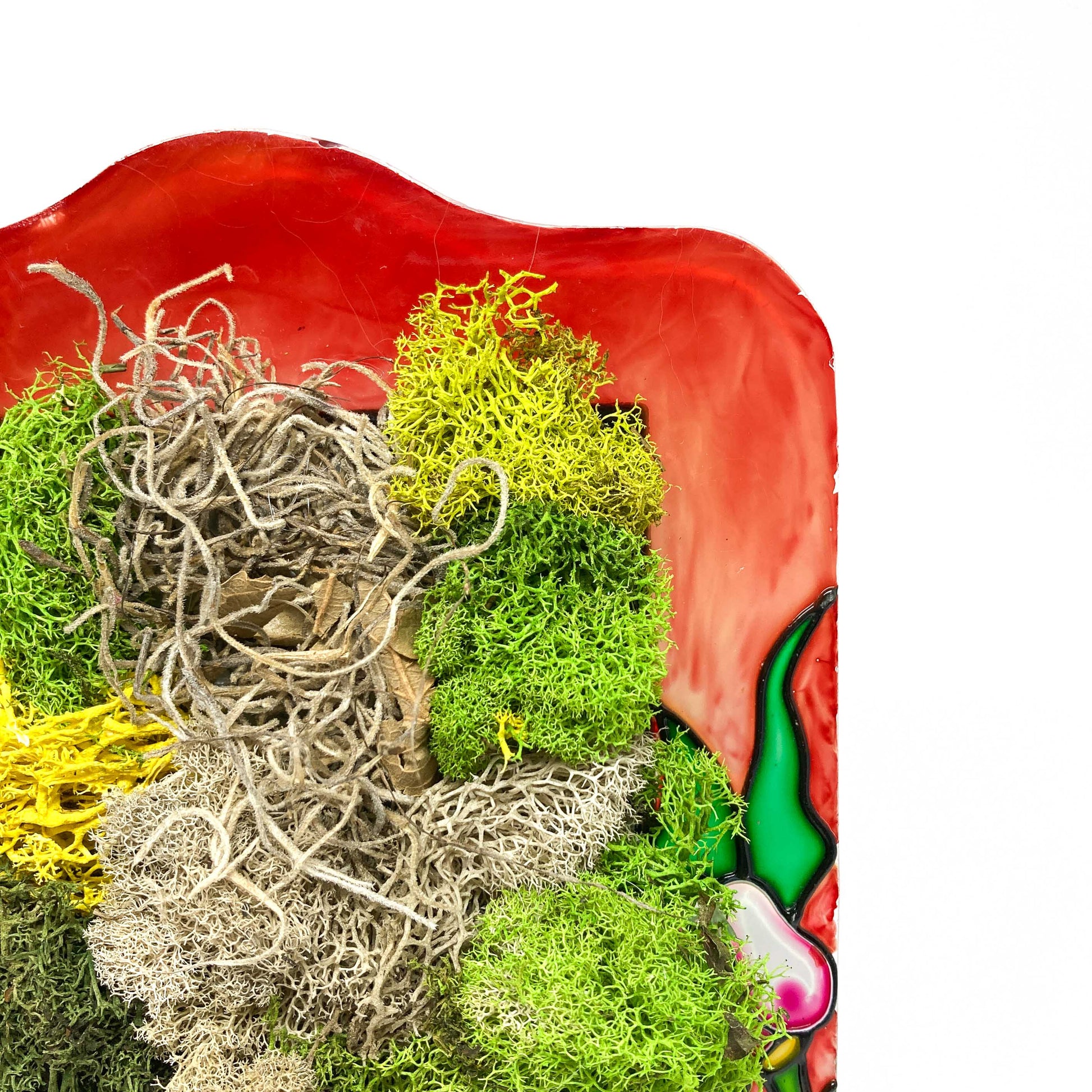 Close-up of framed artwork with preserved moss in various colors and textures, set against a background with floral designs.