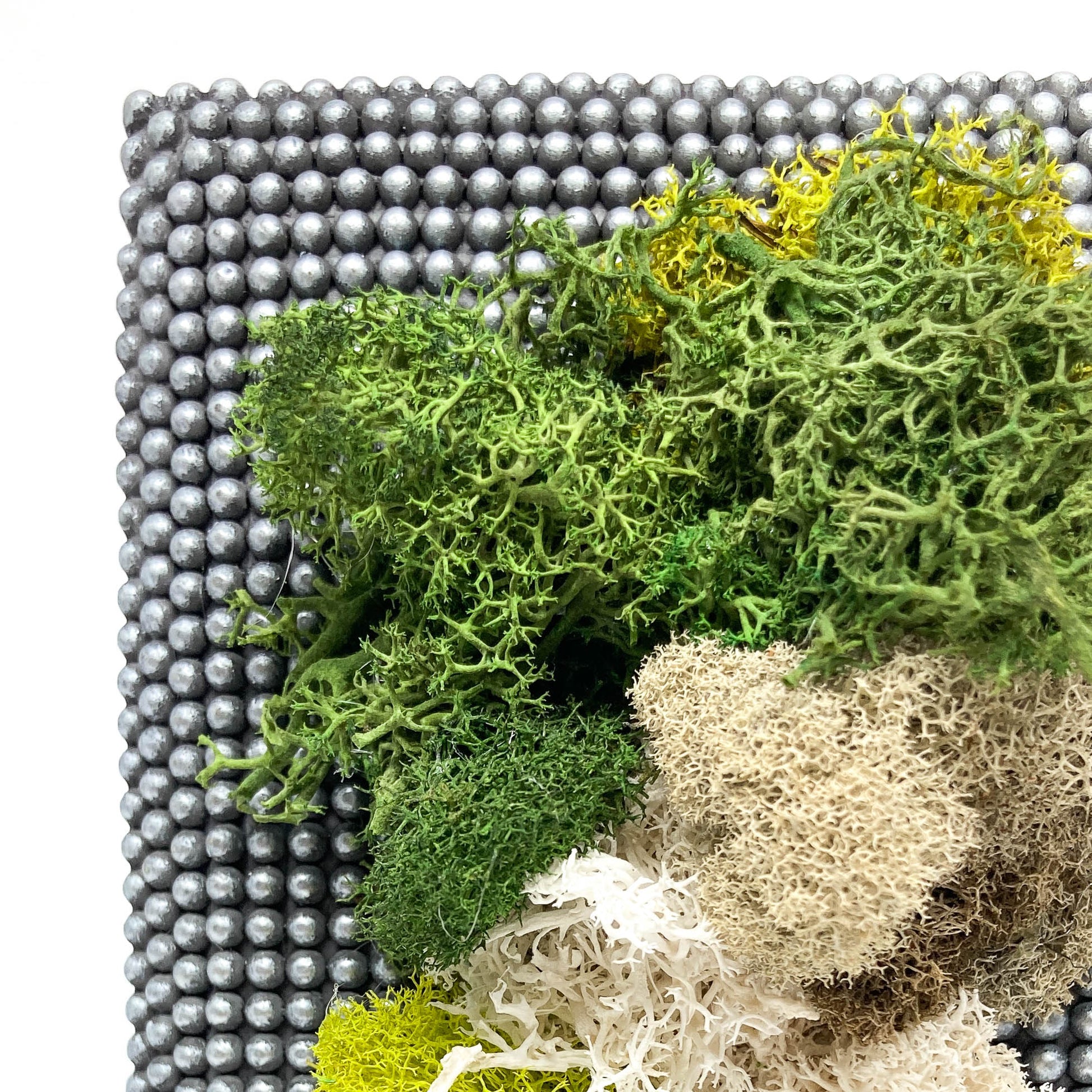 Close-up of framed artwork with preserved moss in various colors and textures, set against a background of small, round, metallic beads.
