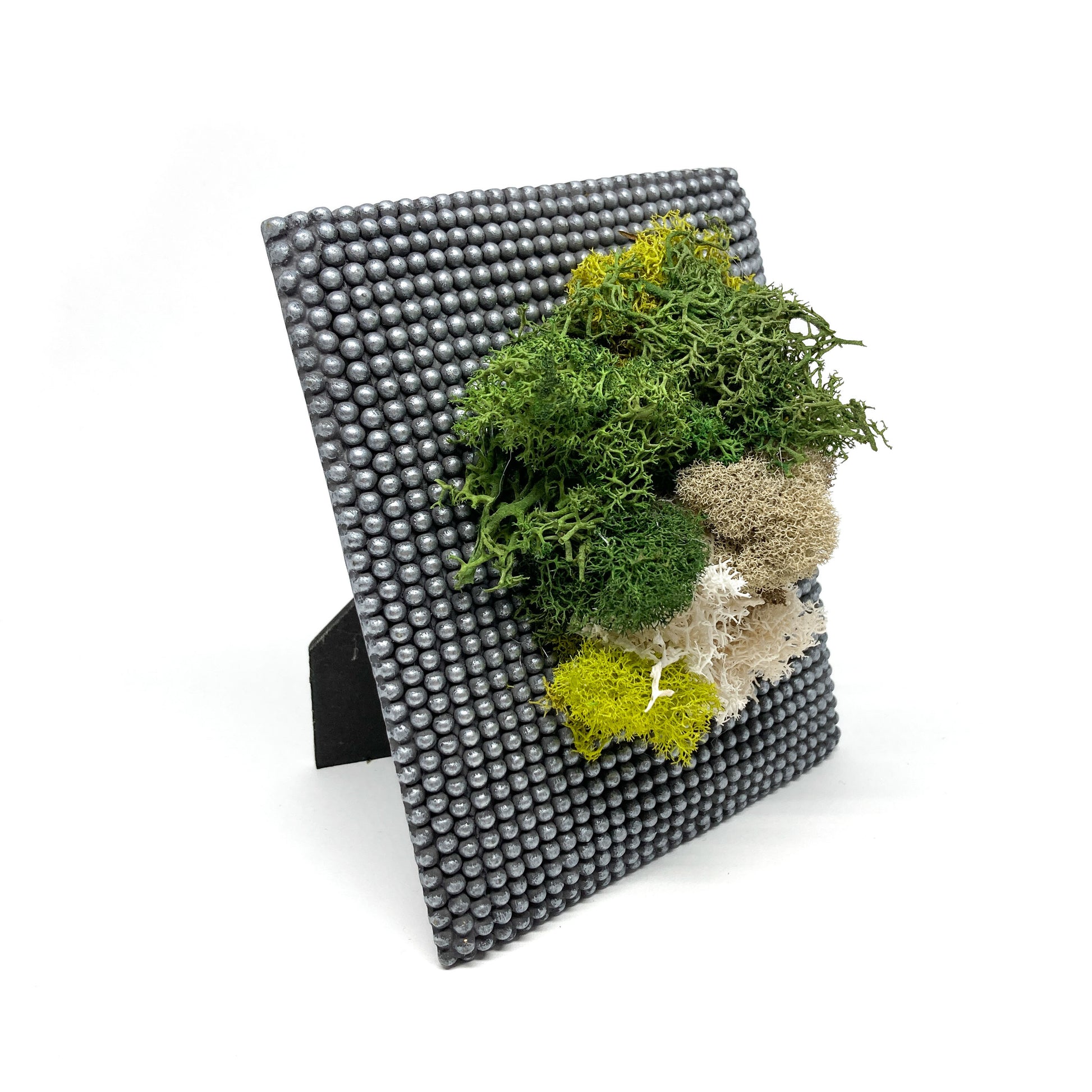 Framed artwork with preserved moss in various colors and textures, propped up on a stand, set against a background of small, round, metallic beads.