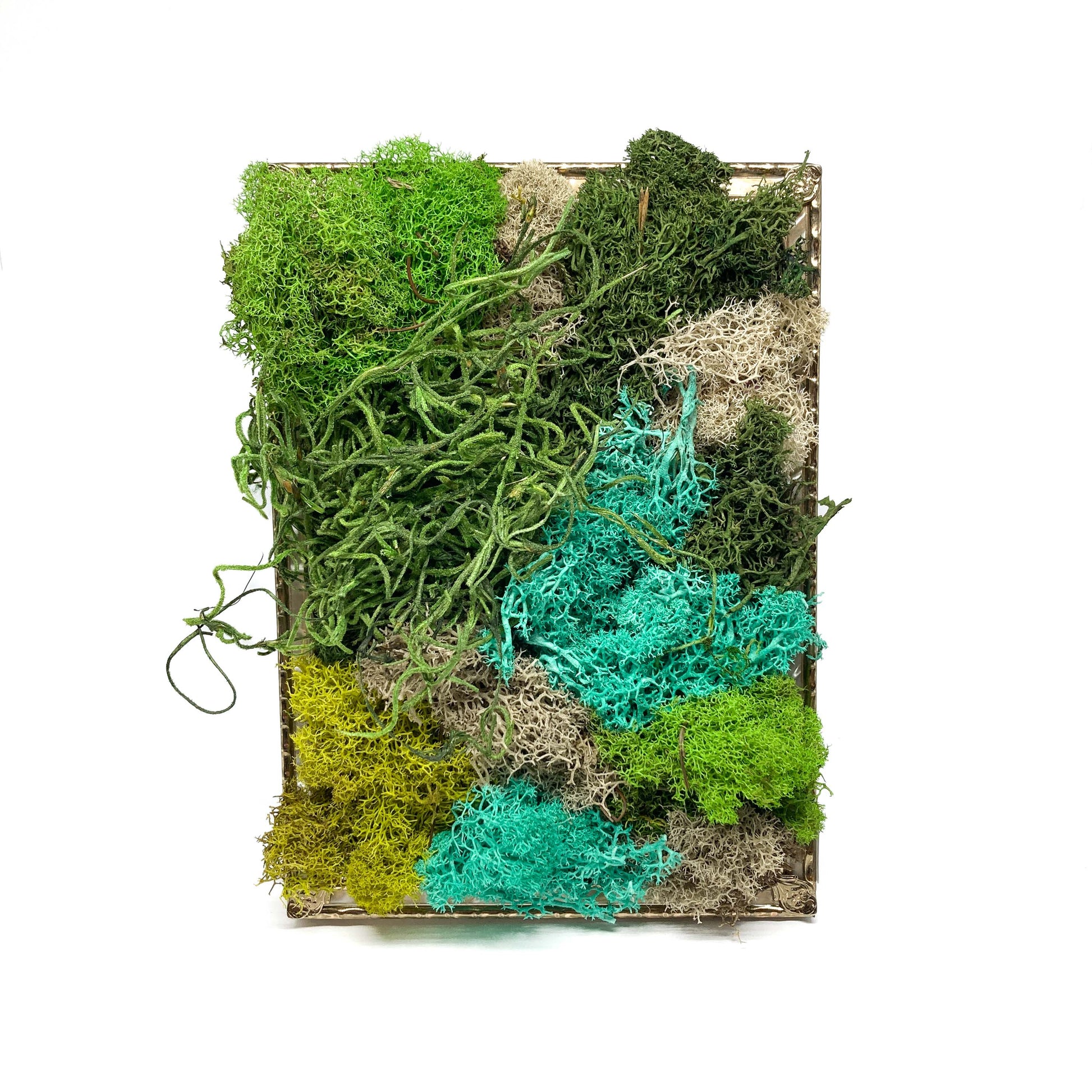 Framed artwork with a collage of preserved moss in various colors and textures, set in a metal frame.