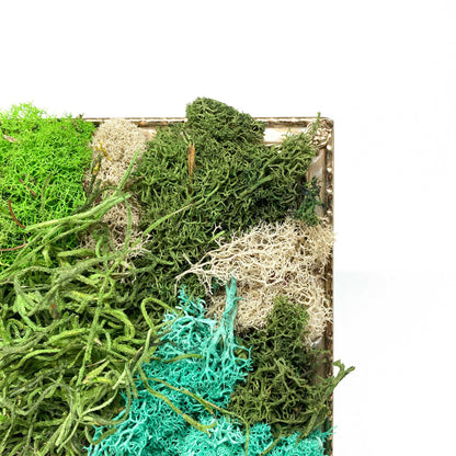 Close-up of framed artwork with preserved moss in various colors and textures, set in a metal frame.