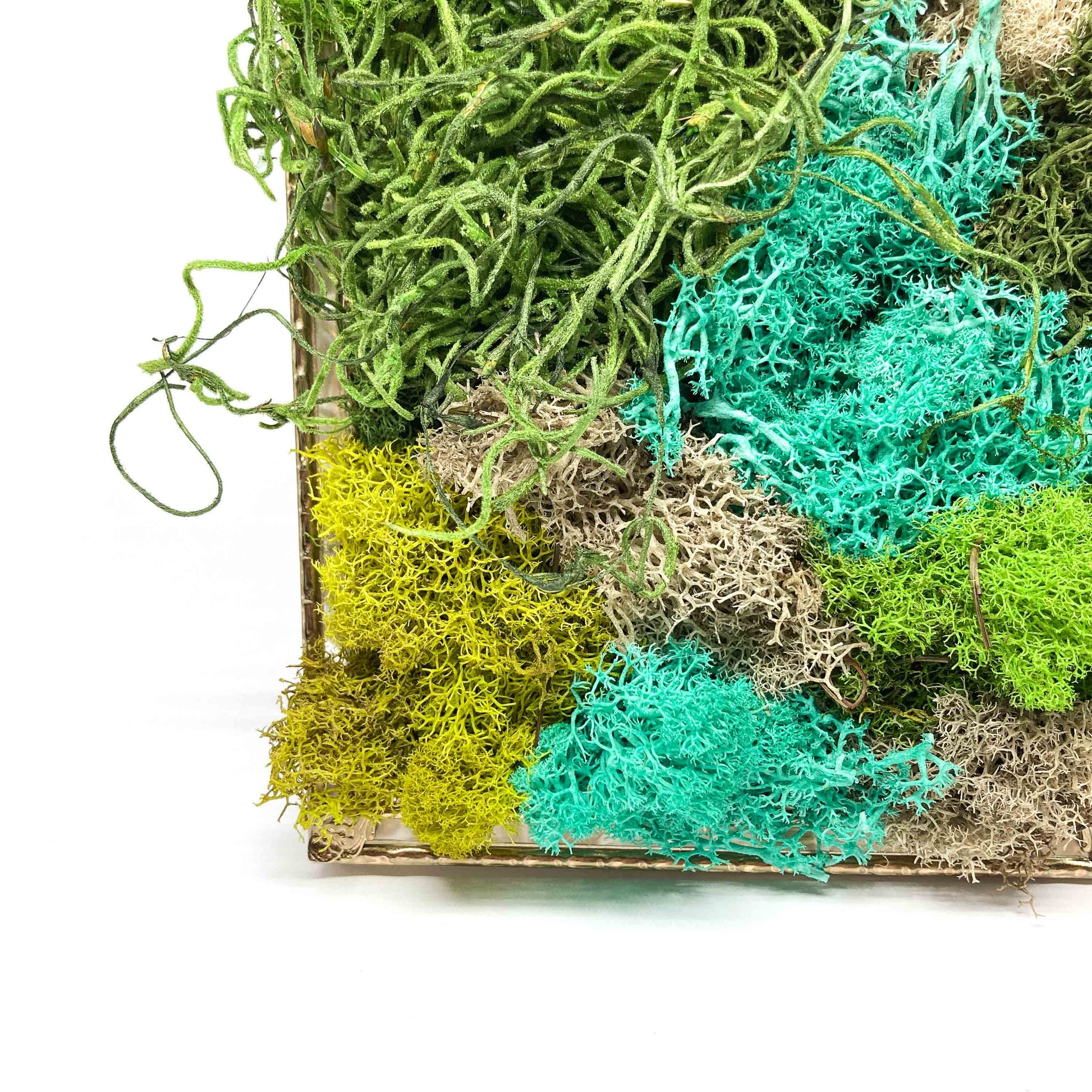 Close-up of framed artwork with preserved moss in various colors and textures, set in a metal frame.