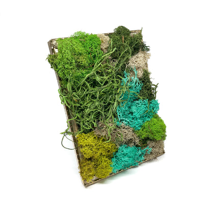 Framed artwork with preserved moss in various colors and textures, propped up on a stand, set in a metal frame.