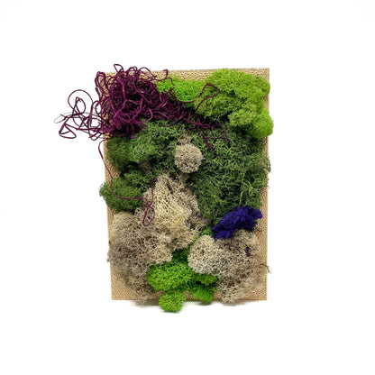 Framed artwork with a collage of preserved moss in various colors and textures, including purple and blue accents.