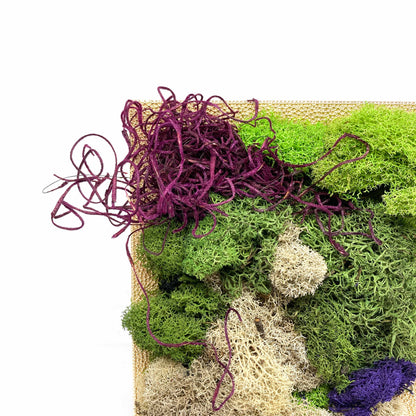 Close-up of framed artwork with preserved moss in various colors and textures, including purple and blue accents.