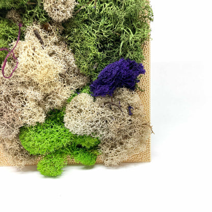 Close-up of framed artwork with preserved moss in various colors and textures, including purple and blue accents.