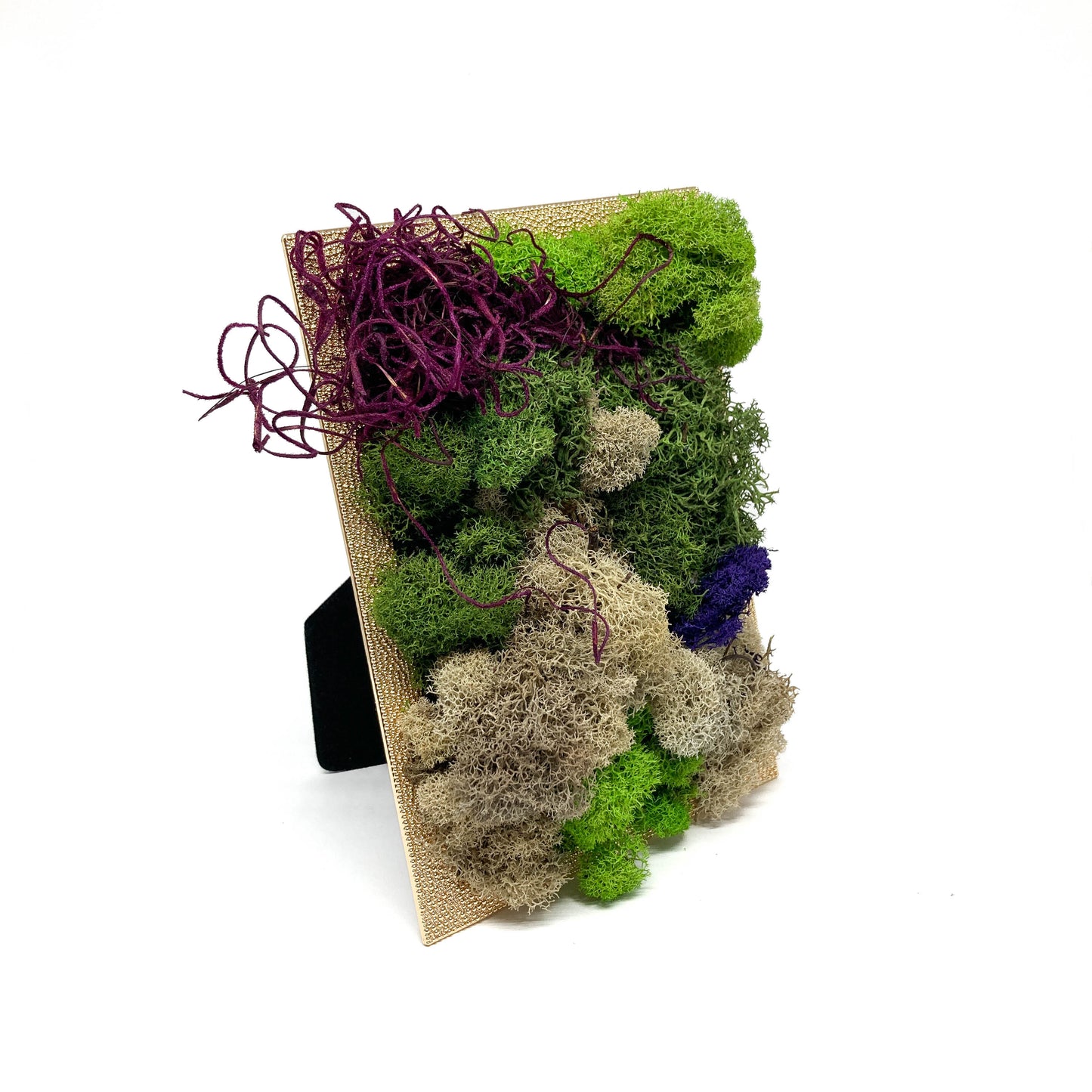 Framed artwork with preserved moss in various colors and textures, propped up on a stand, including purple and blue accents.