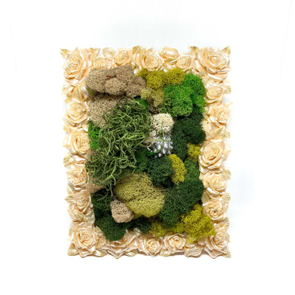 Framed artwork with preserved moss in various colors and textures, framed by a border of pale roses.