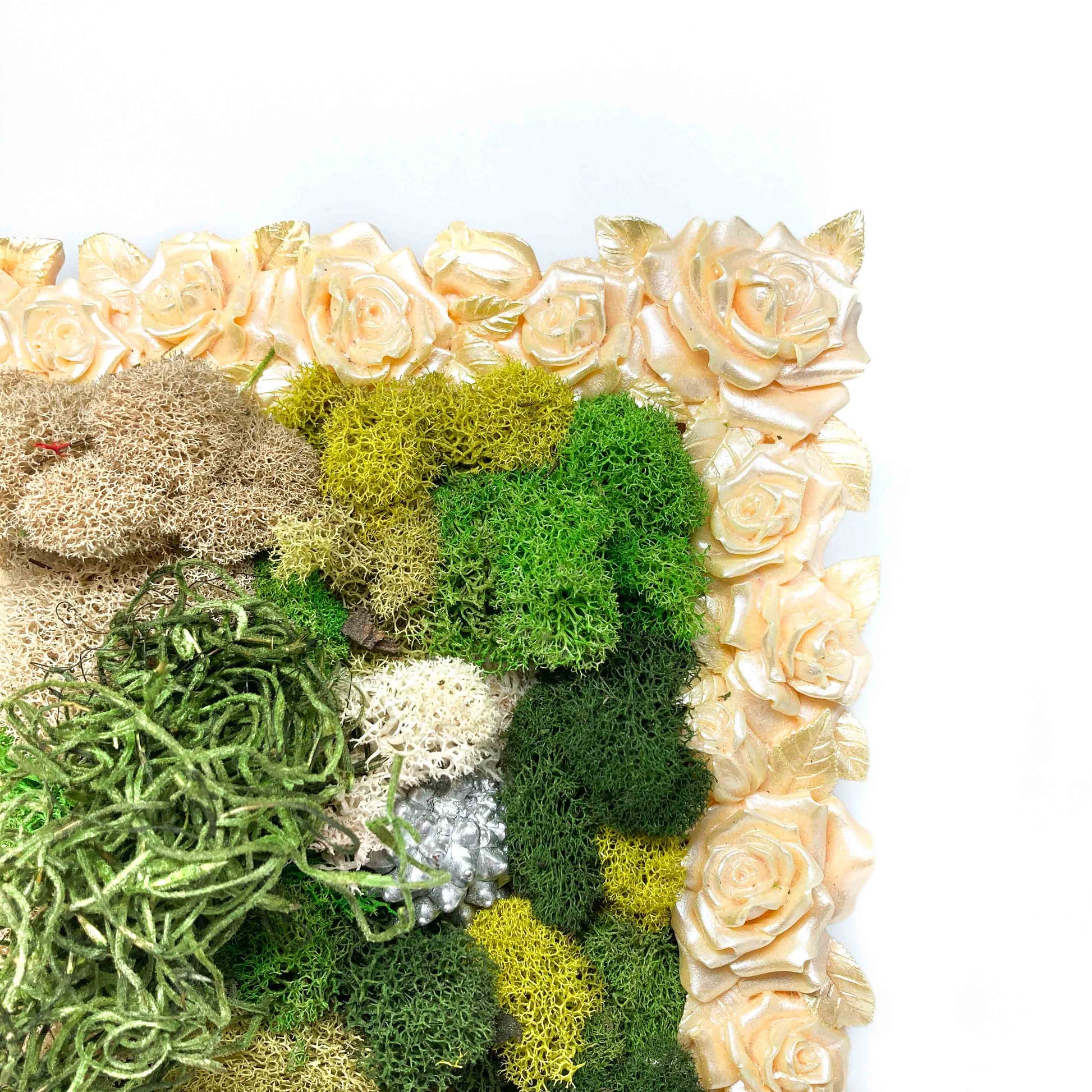 Close-up of framed artwork with preserved moss in various colors and textures, framed by a border of pale roses.