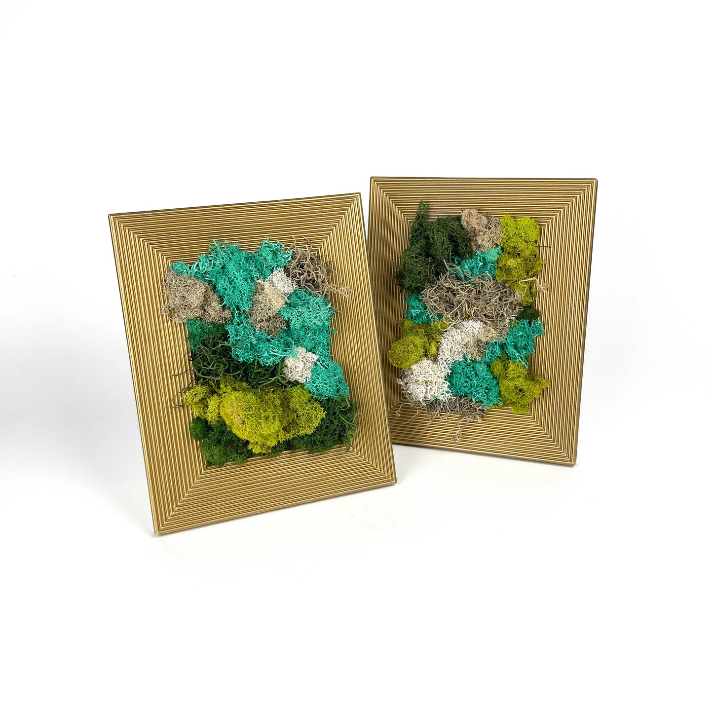 Two framed artworks with preserved moss in various colors and textures, set in matching gold frames.