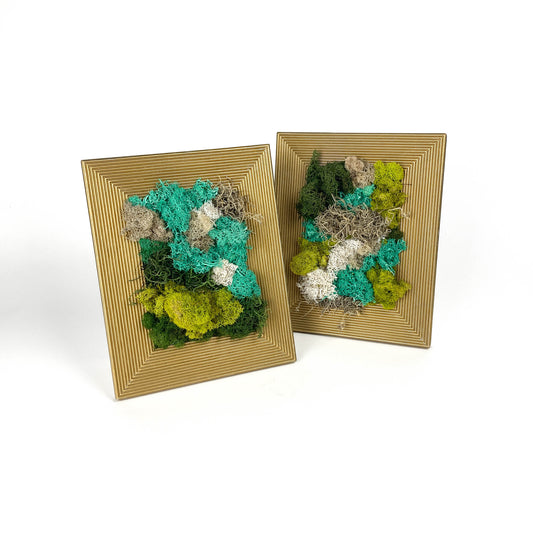 Two framed artworks with preserved moss in various colors and textures, set in matching gold frames.
