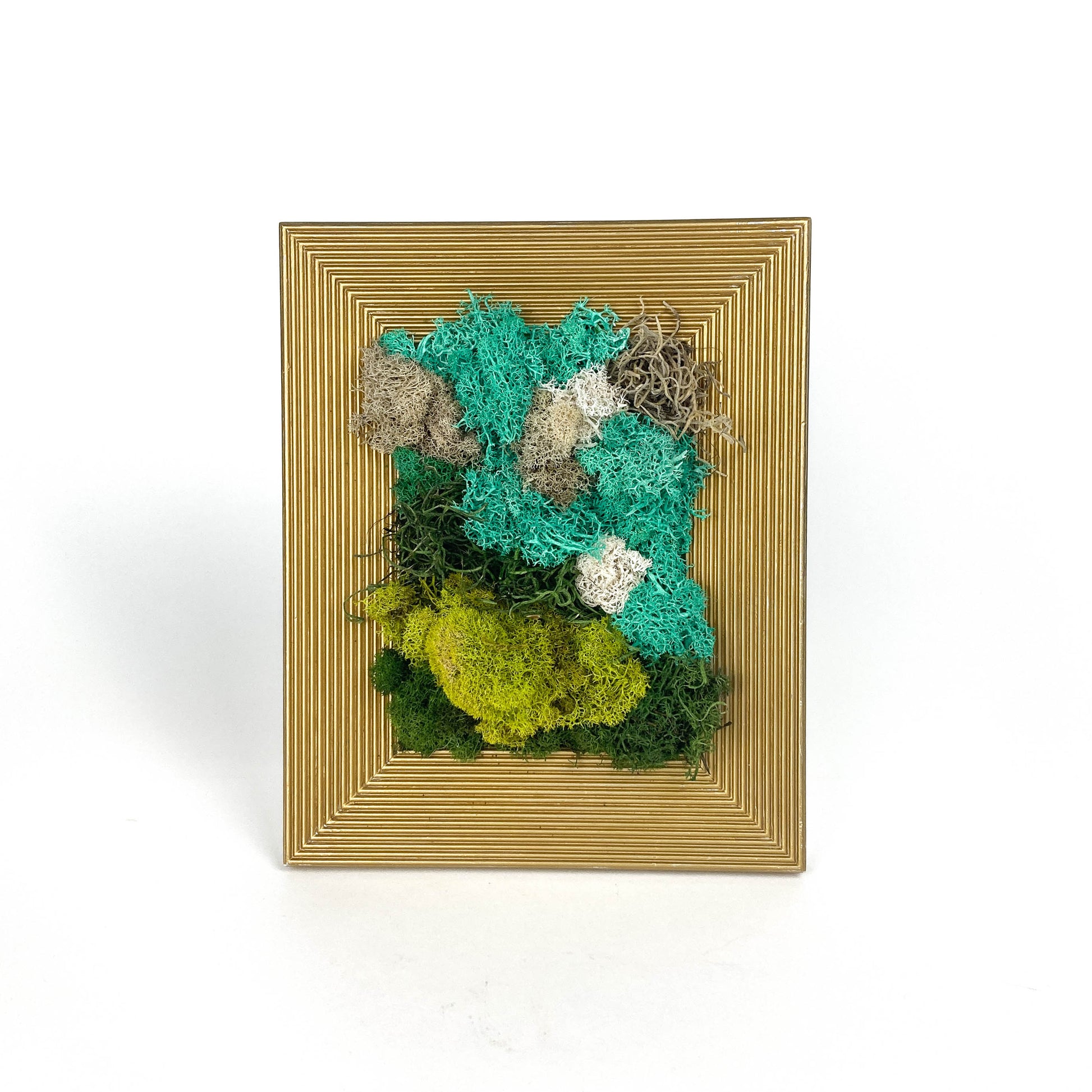 Framed artwork with preserved moss in various colors and textures, set in a gold frame.