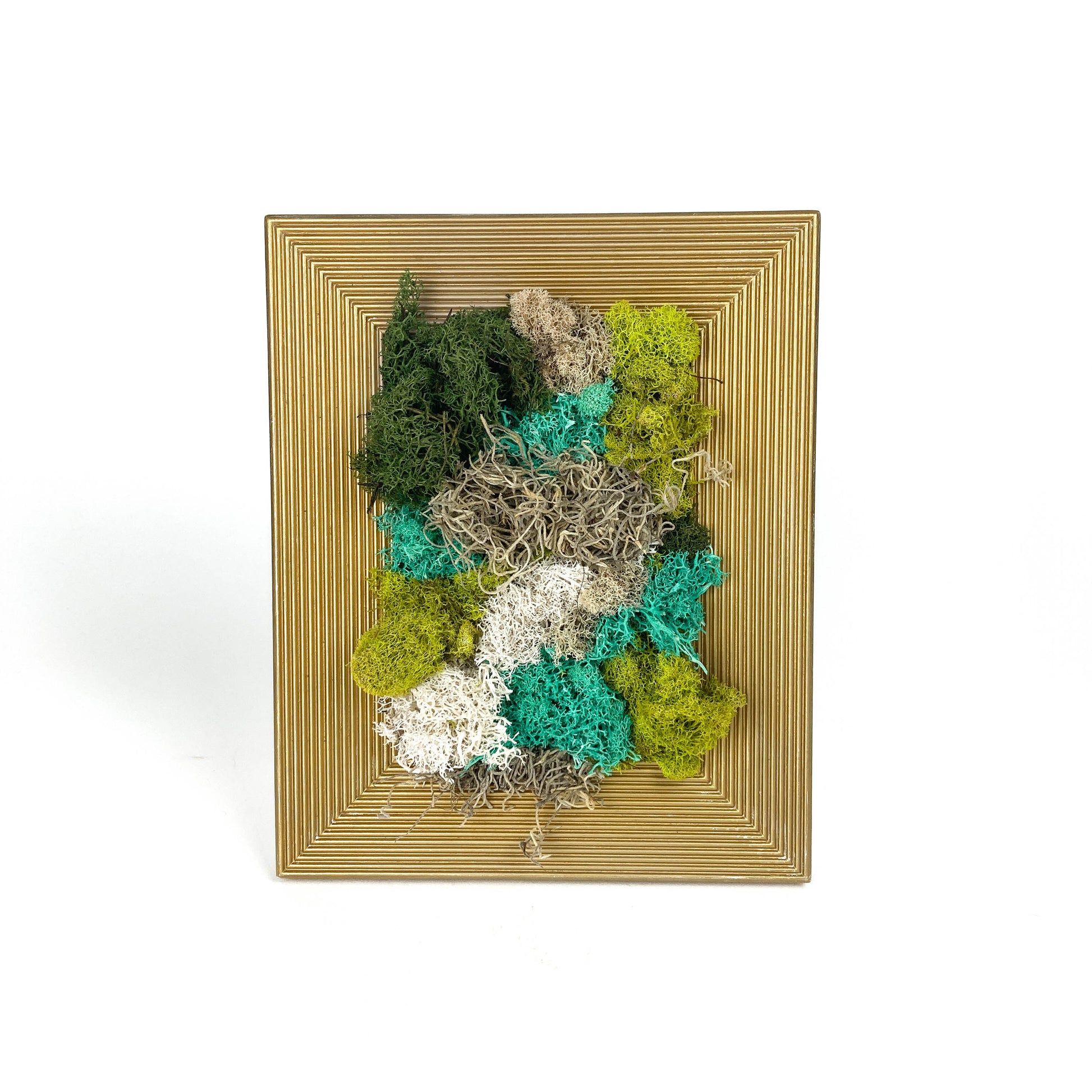 Framed artwork with preserved moss in various colors and textures, set in a gold frame.