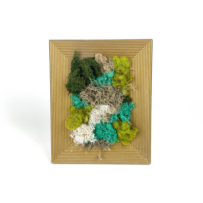 Framed artwork with preserved moss in various colors and textures, set in a gold frame.